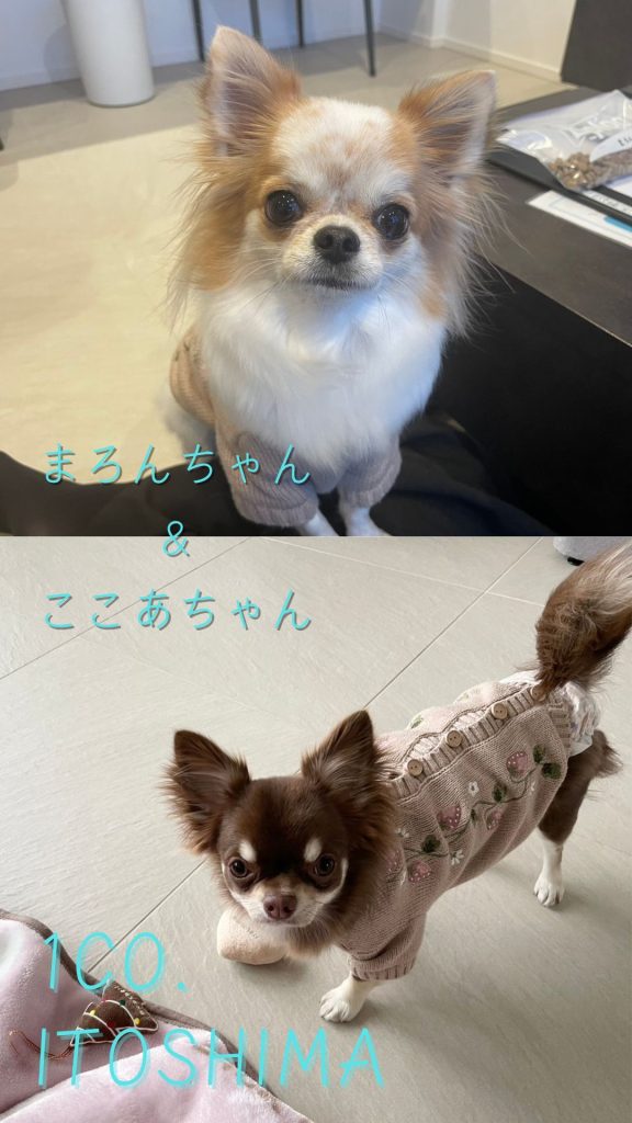 まろんちゃん＆ここあちゃん