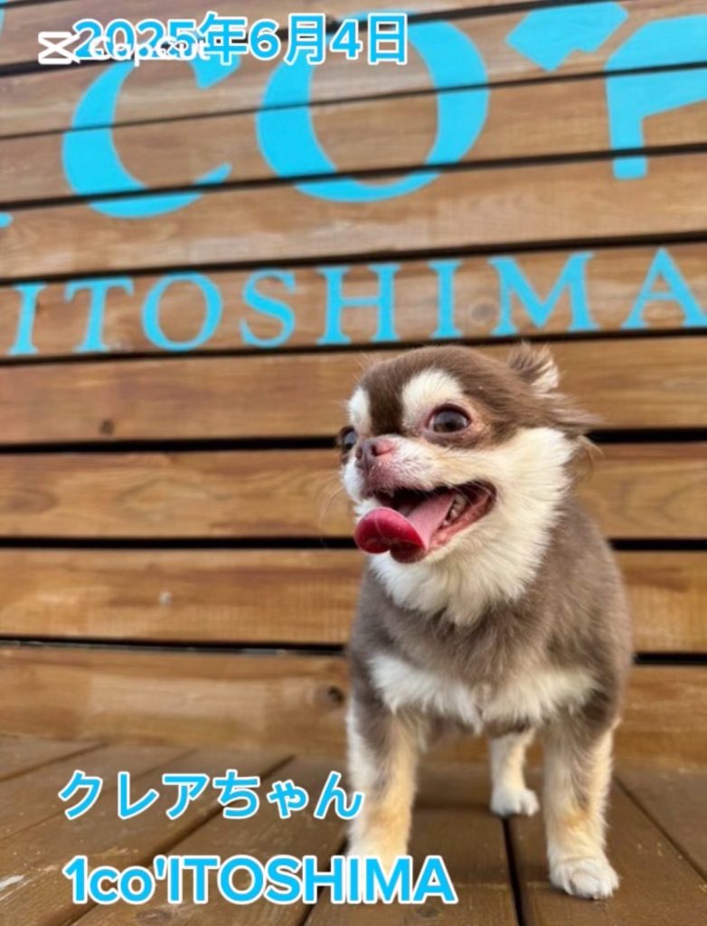クレアちゃん
