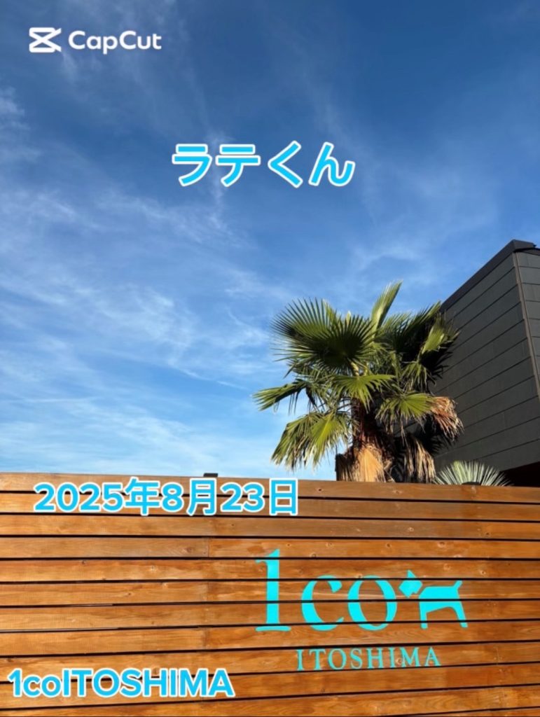ラテくん