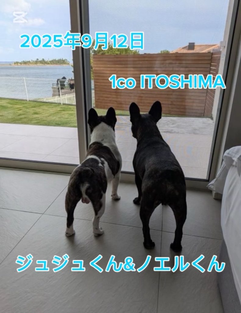 ジュジュくん＆ノエルくん