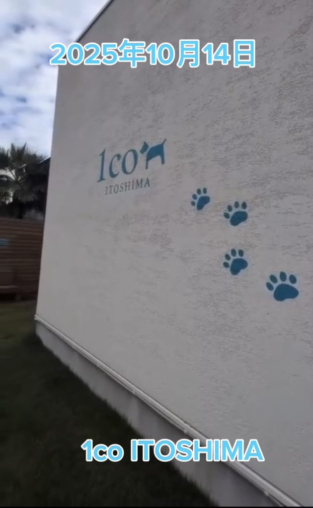 りくくん・そらちゃん・メイちゃん・レオくん